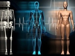 Cilvēka ķermeņa pretestība - no kā tas atkarīgs un kā tas var mainīties